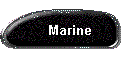 Marine